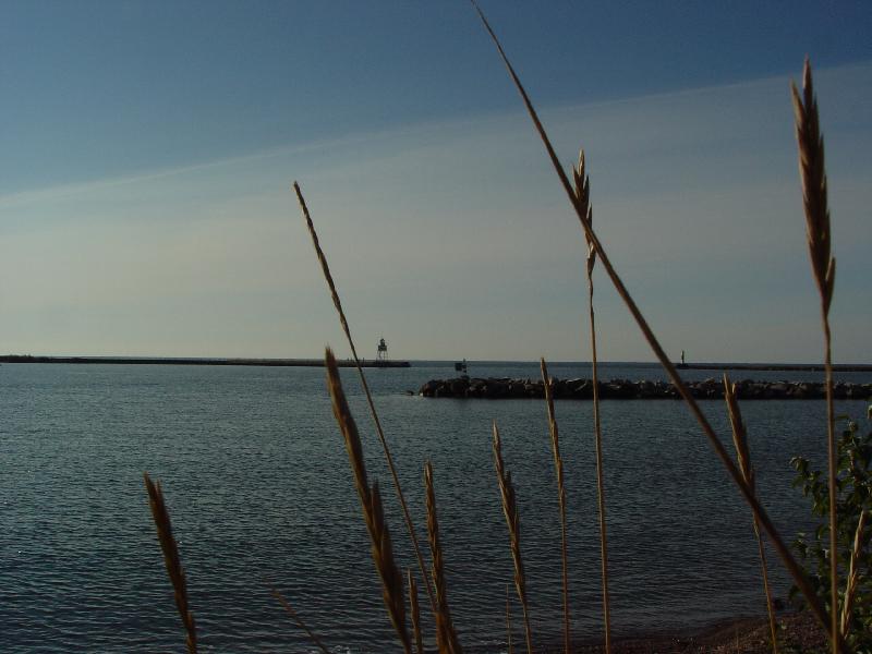 DSC08500 