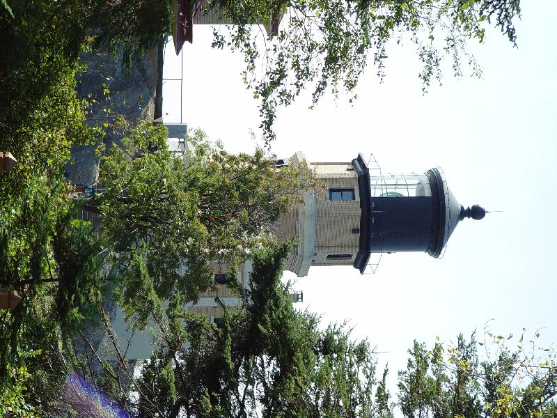 DSC08512 