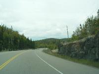 DSC08446 