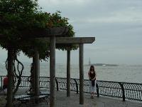 DSC07516 