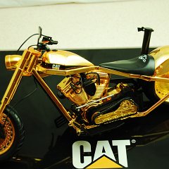 DSC_8567