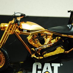 DSC_8574