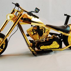 DSC_8631