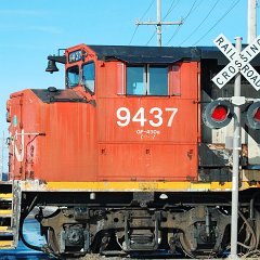 DSC_4310