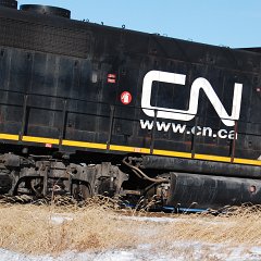 DSC_4312