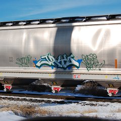 DSC_4314
