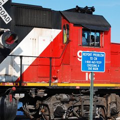 DSC_4318