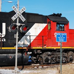 DSC_4319