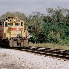 tpw_yard_geeps