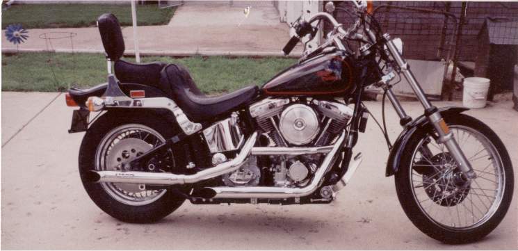 My first hog